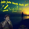About Jate Jate Kuch Kah Gai Zindagi Song
